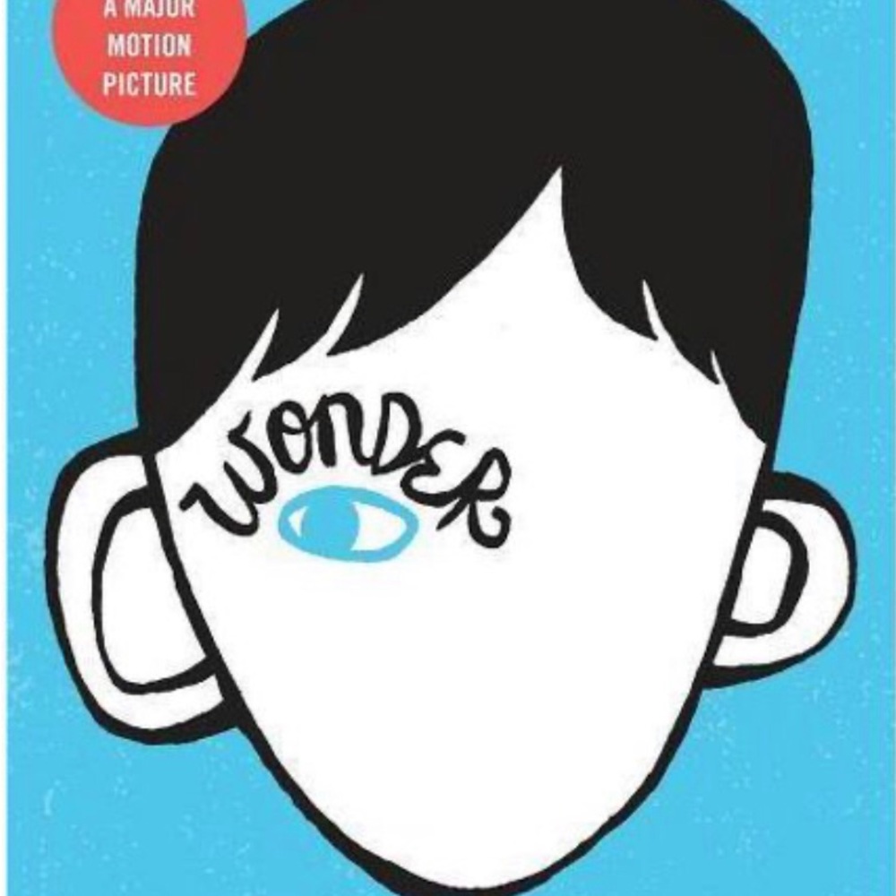 Wonder - Picture 3 of 7